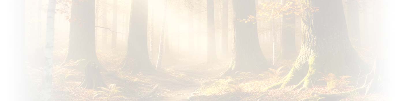 Wald